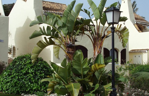 Diputacion de Rincon de San Gines Villa | Quality, detached, modern yet comfortable villa set amongst stunning gardens