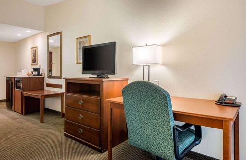 Tarpon Springs Hotel | Quality Inn & Suites Tarpon Springs South