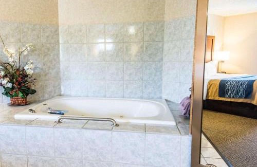 Lewiston Hotel | Quality Inn