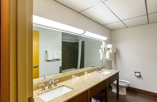Lubbock Hotel | Quality Suites Lubbock Southwest