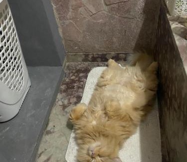 Nazare House | Quartos confortáveis em apartamento prox pç da República