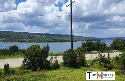 Chiloe Island Apartment | Quellón ,Chonchi ,Natri,Molulco