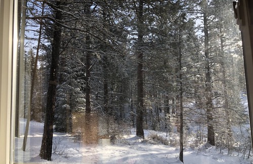 Cle Elum Cabin | Quiet 1 BR + loft cabin great for weekend getaways & stargazing. Pet Friendly!