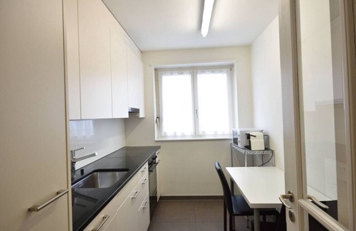 Muhlebach Apartment | Quiet 1BR in city center - Mill 4.12