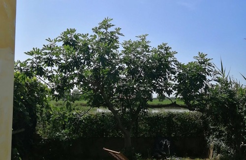 Carlino Apartment | Quiet apartment in nature near the Marano lagoon.