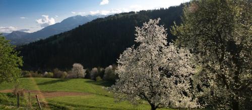 Prevalje Apartment | Quiet apartment with a terrace on Organic farm