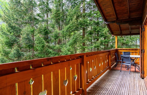 Mittlach Ski Chalet | Quiet chalet in the mountains 'Les Airelles' with Private Terrace and Wi-Fi