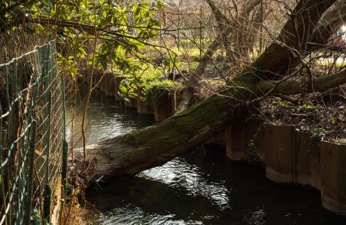 Trezzano sul Naviglio House | Quiet groundfloor garden apartment close to Milan - SMART WORKING, RELAX, BARBECUE, NETFLIX