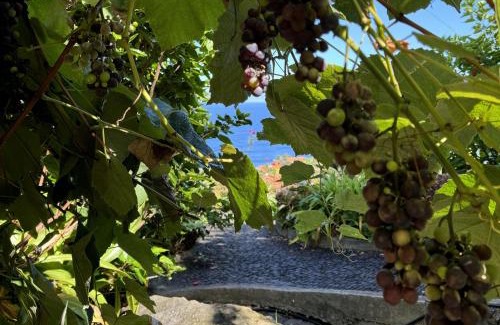 Arco de Sao Jorge House | Quinta das Hortênsias