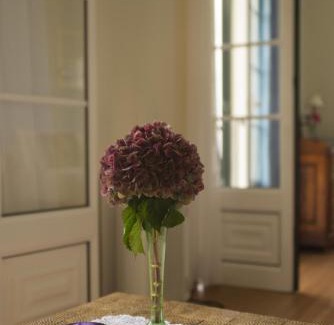 Arco de Sao Jorge House | Quinta das Hortênsias