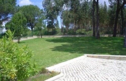 Rio Maior House | Quinta do Alto dos Pinheiros