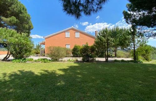 Rio Maior House | Quinta do Alto dos Pinheiros