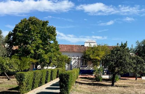 Alvito House | Quinta do Céu Tranquilidade e Piscina no Alentejo