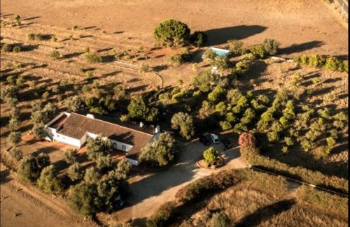 Alvito House | Quinta do Céu Tranquilidade e Piscina no Alentejo