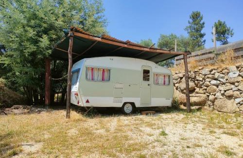 Fornos de Algodres Other | Quinta dos Covões