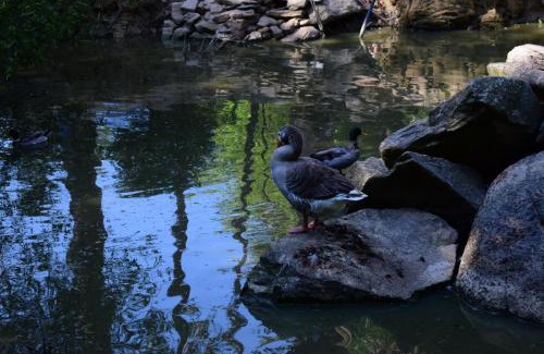 Moimenta da Beira House | Quinta Sul America