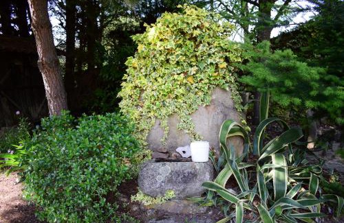 Moimenta da Beira House | Quinta Sul America