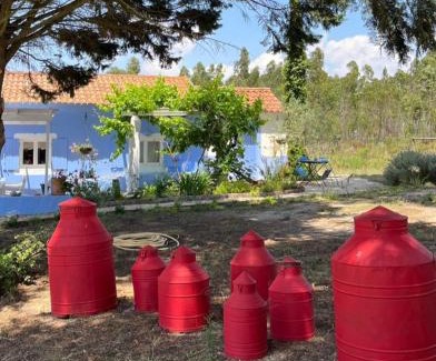 Odemira Other | Quintal Alentejano