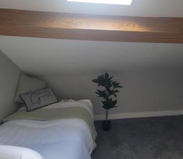 Tralee Apartment | Quirky Modern Apartment in Kerry