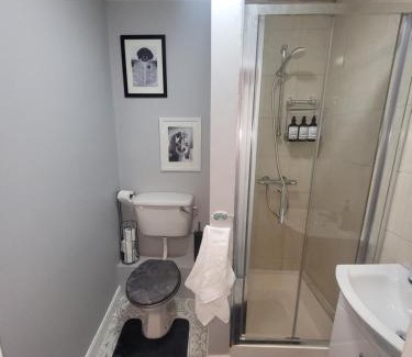 Tralee Apartment | Quirky Tiny Apartment in Kerry