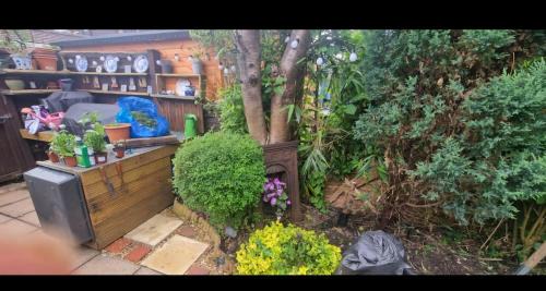 Eastleigh House | Quirky Victorian three bedroom house