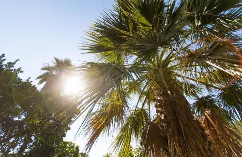 Tarcu Villa | Résidence Stella di Mare