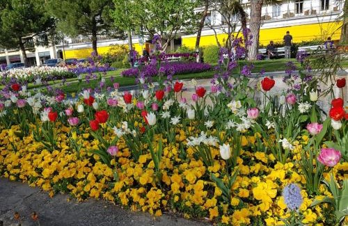 Vionnaz Apartment | Résidence "Les Crêtes"