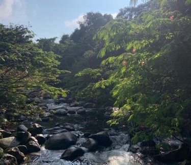 San Carlos Bed & Breakfast | RíoBosque Cabañas de lujo frente al rio desayuno incluido san carlos antioquia