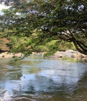 San Carlos Bed & Breakfast | RíoBosque Cabañas de lujo frente al rio desayuno incluido san carlos antioquia