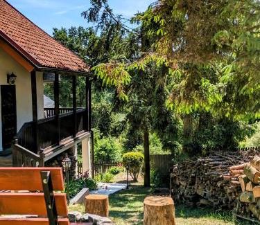 gmina Stary Dzierzgon House | Różany Ogród - dom pod lasem, z widokiem na jezioro i kominkiem, rowery, łódka, rowerek wodny