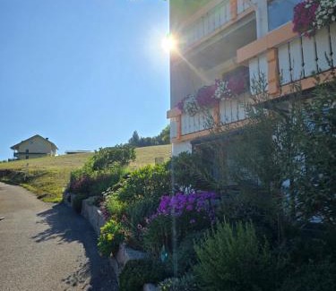 Buhlbach Apartment | Rückzugsort im Buhlbachtal Baiersbronn - Ferienwohnung mit beheiztem Wintergarten, Bergblick & Parkplatz