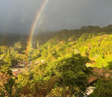 Los Naranjos House | Rainbow Iris