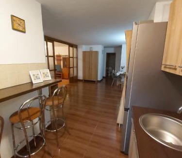 Bistrita Apartment | Raluca Residence