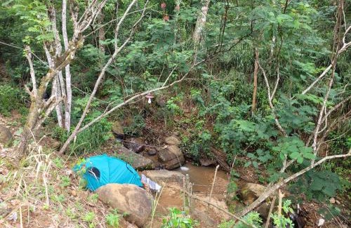 Katukitula Resort | Ramboda Jungle Resorts