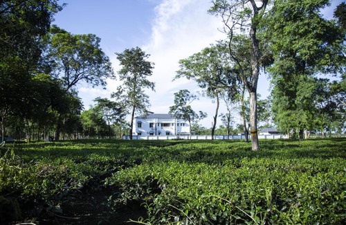 Uttar Kalamati Hotel | Ramsai Tea & Wildlife Resort