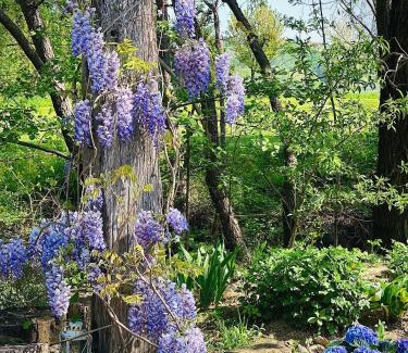 Slovenske Konjice House | Ranch Nana's House