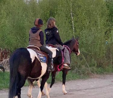 gmina Lelkowo House | Rancho „Czajone na pigwowcu”