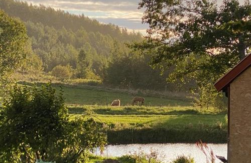 gmina Lelkowo House | Rancho „Czajone na pigwowcu”