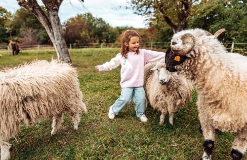 Dobre Miasto Hotel | Ranczo w Dolinie