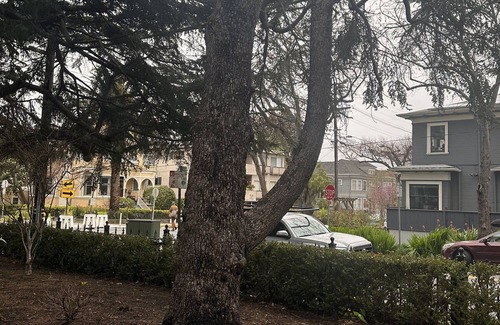 Downtown Berkeley Apartment | Rare 2 Bedroom Near UC Berkeley