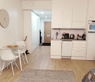 Ylamylly Apartment | Rauhallinen studio isolla parvekkeella