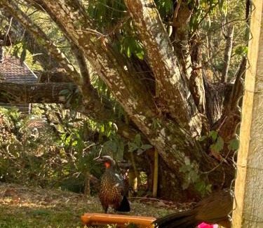 Campos do Jordao House | Recanto da Valentina