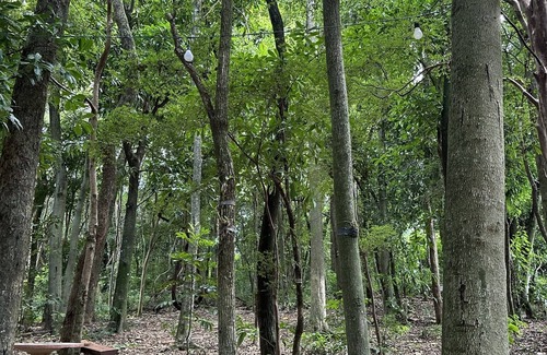 Itapira RV Rental | Recanto das Videiras