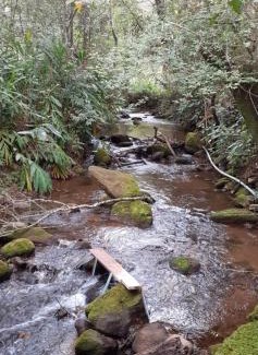 Costas House | Recanto do Zezé