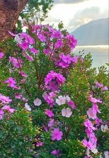 Biscaia House | Recanto J&R