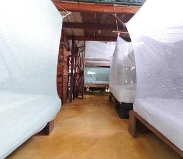 Capurgana House | Reciclarte Galería Hostal