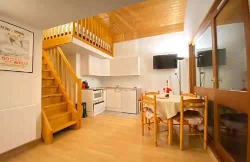 Les Carroz-d'Araches Apartment | RED APPLE CARROZ Duplex de charme WIFI Parking Balcon TV Ski-Bus