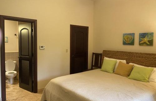Isla Bastimentos Hotel | Red Frog Beach Island Resort