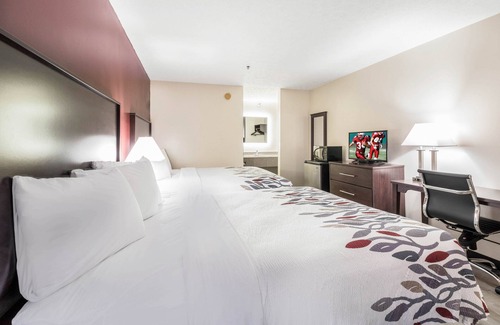 Cadiz Hotel | Red Roof Inn Cadiz