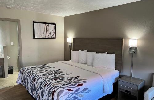 Georgetown Hotel | Red Roof Inn Georgetown, KY